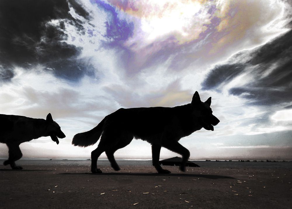 Фотография автора Ghadir Vaghari