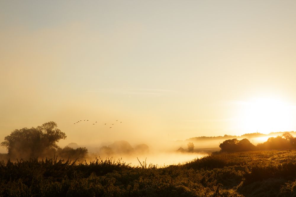 Photograph by Олеся Бакалина