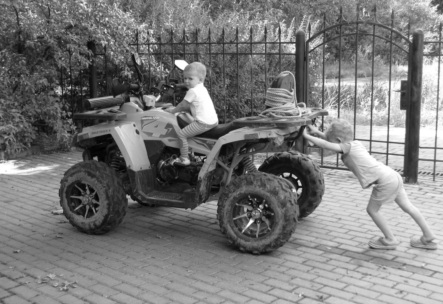 Photo #11772471