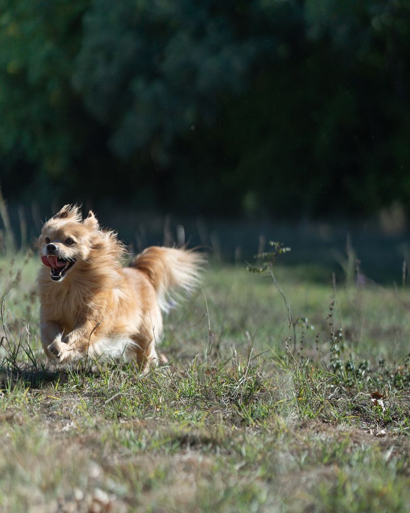 Photograph by Артём Гуцалюк