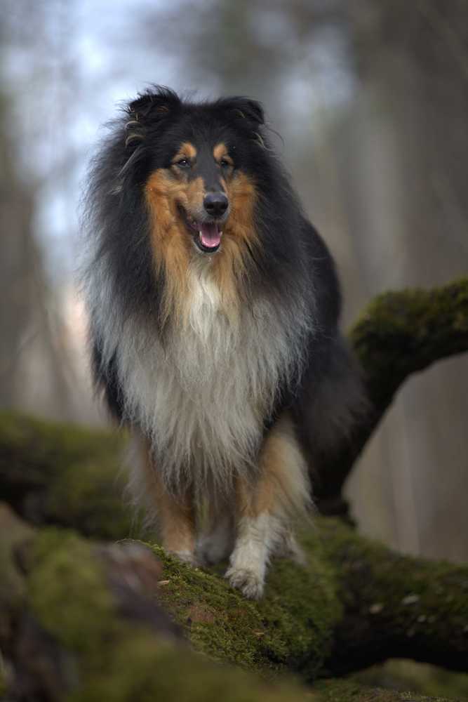 Photograph by Евгения Осипова