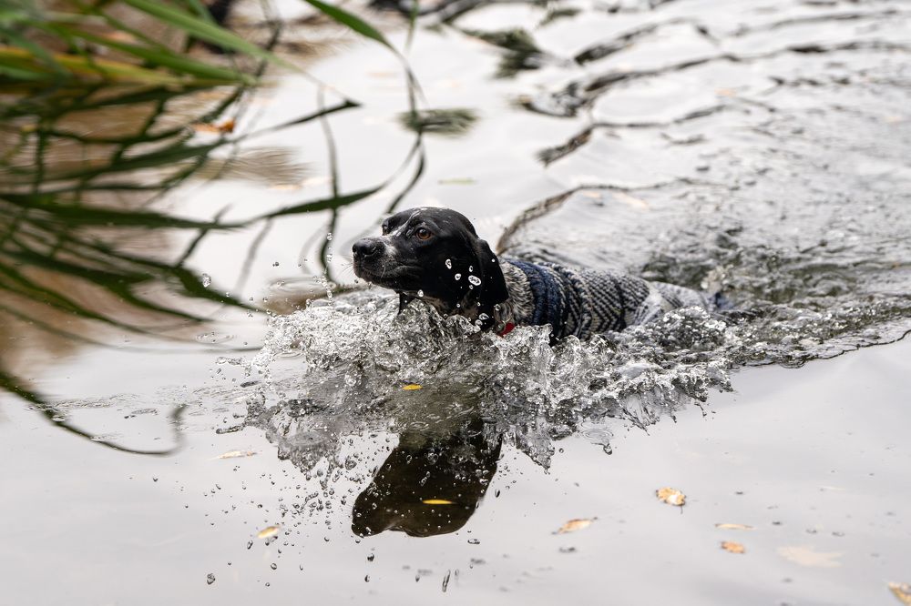 Photograph by Олеся Легостаева