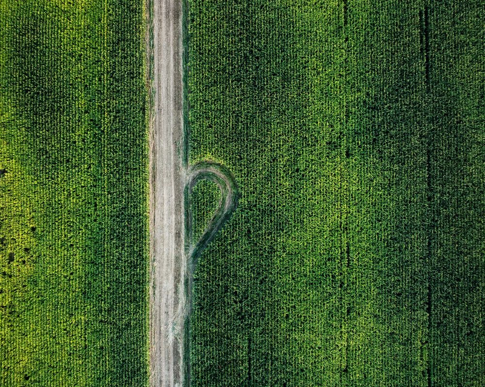 Photograph by Александр Давидик