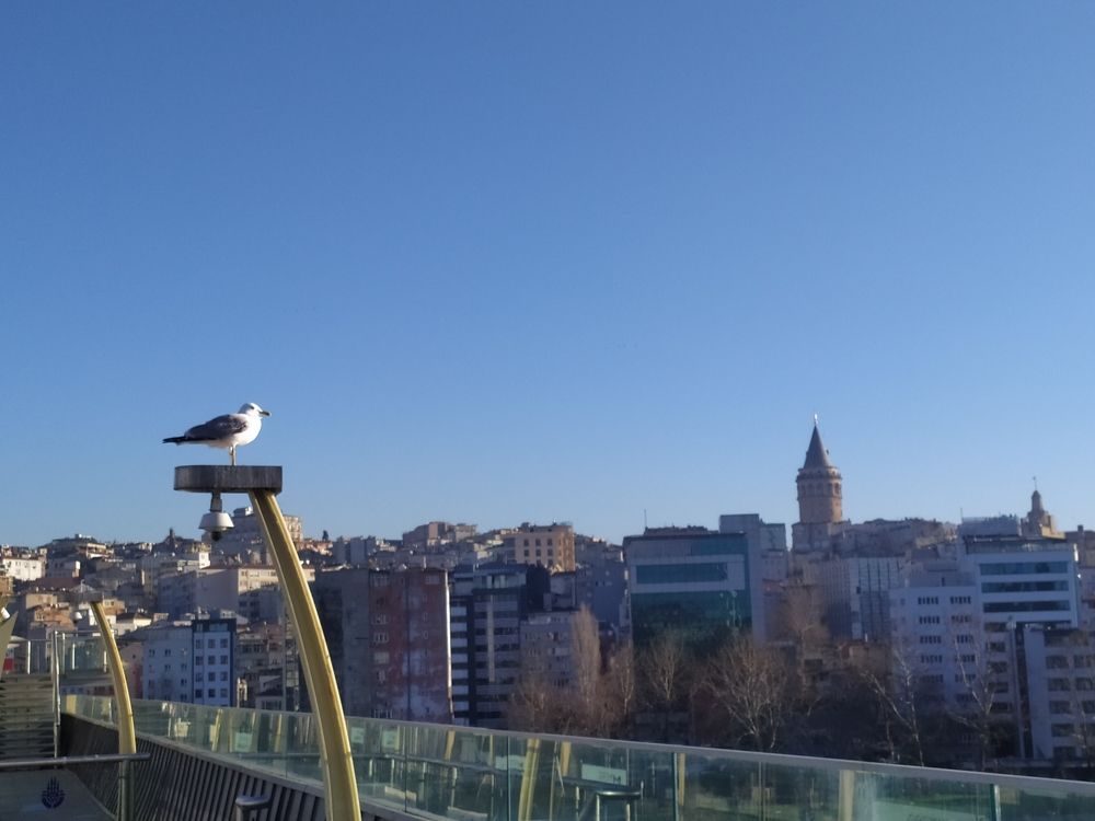 Photograph by Olga Kot