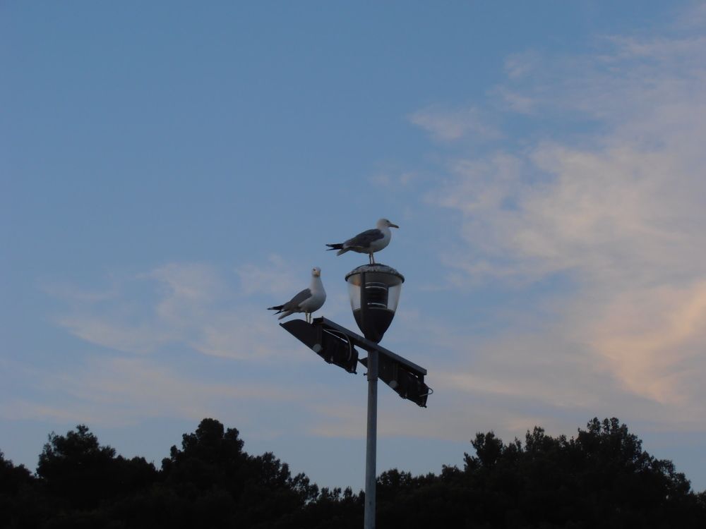 Photograph by Olga Kot