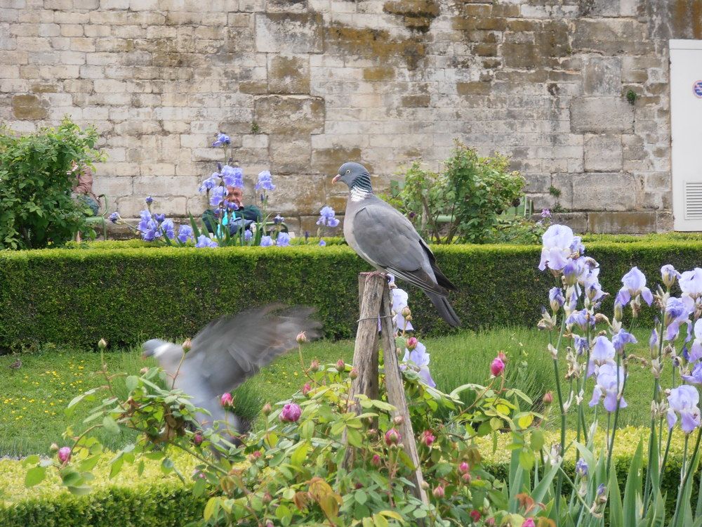 Photograph by Olga Kot