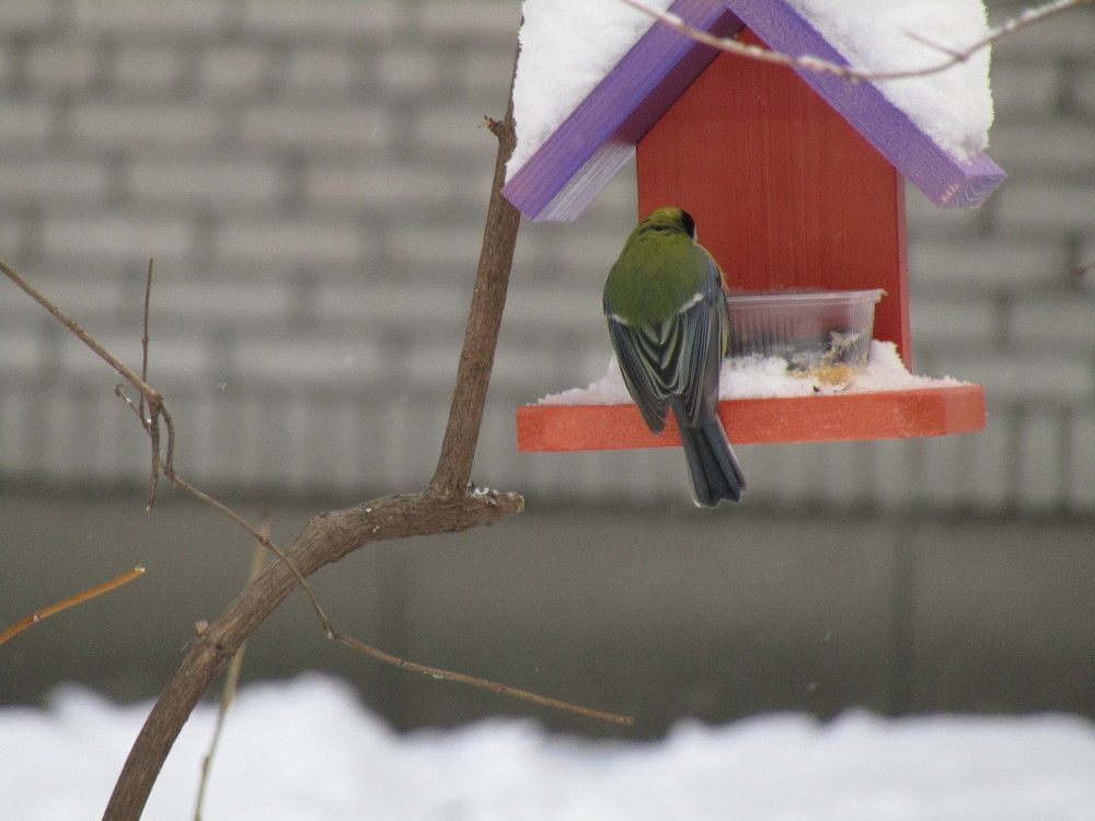 Photograph by Olga Kot