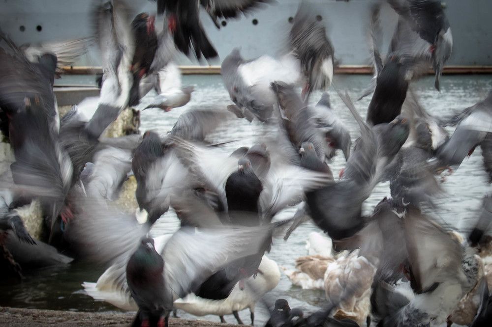 Photograph by Наталья Брюхненко