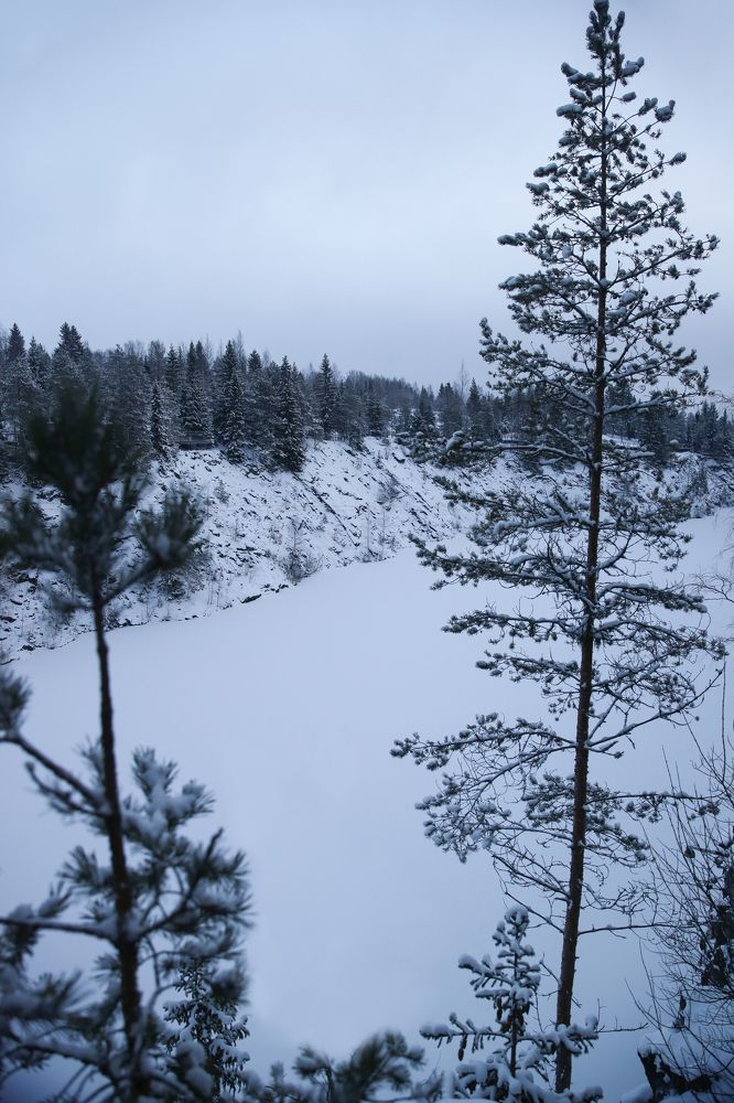 Photograph by Марина Сосновская