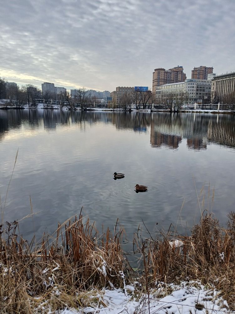 Photo #11772619