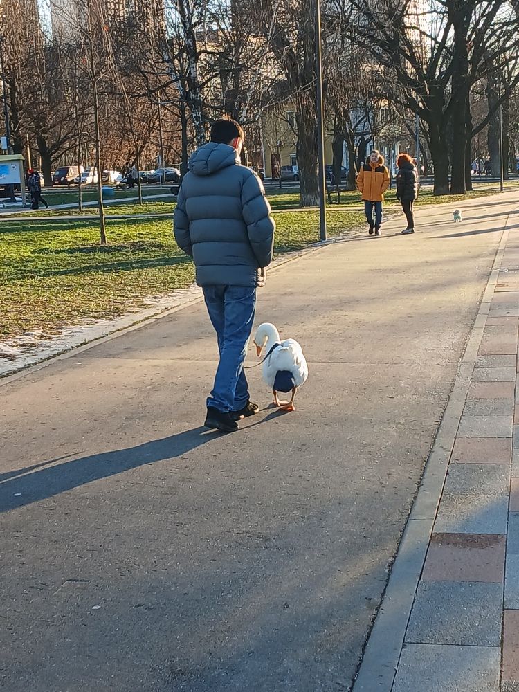 Photograph by Ирина Перевозкина