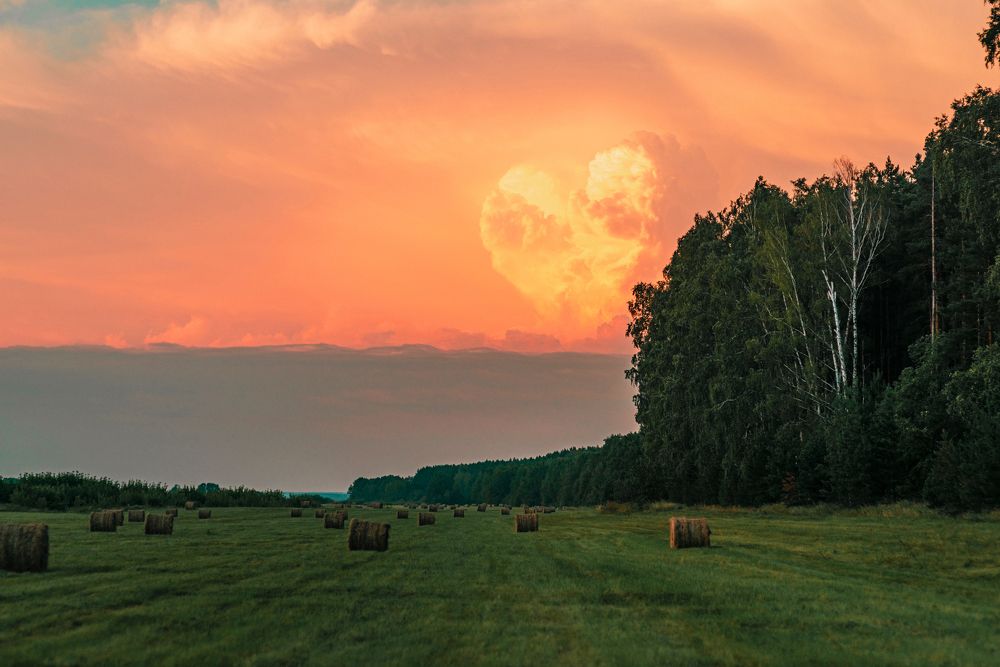 Фотография автора олег владимирович