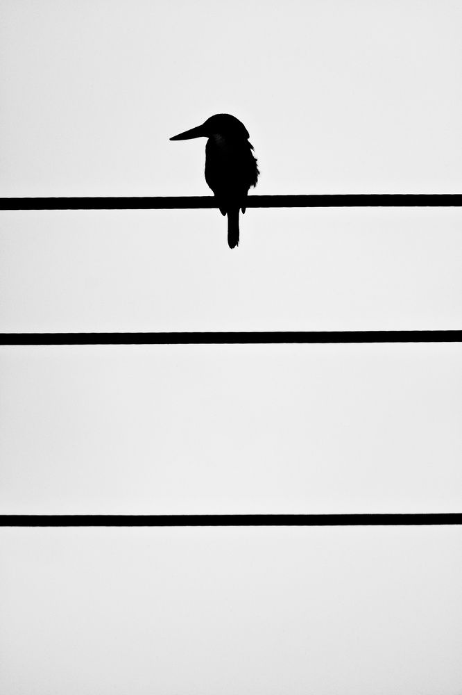 Photograph by Илья Дмитриев