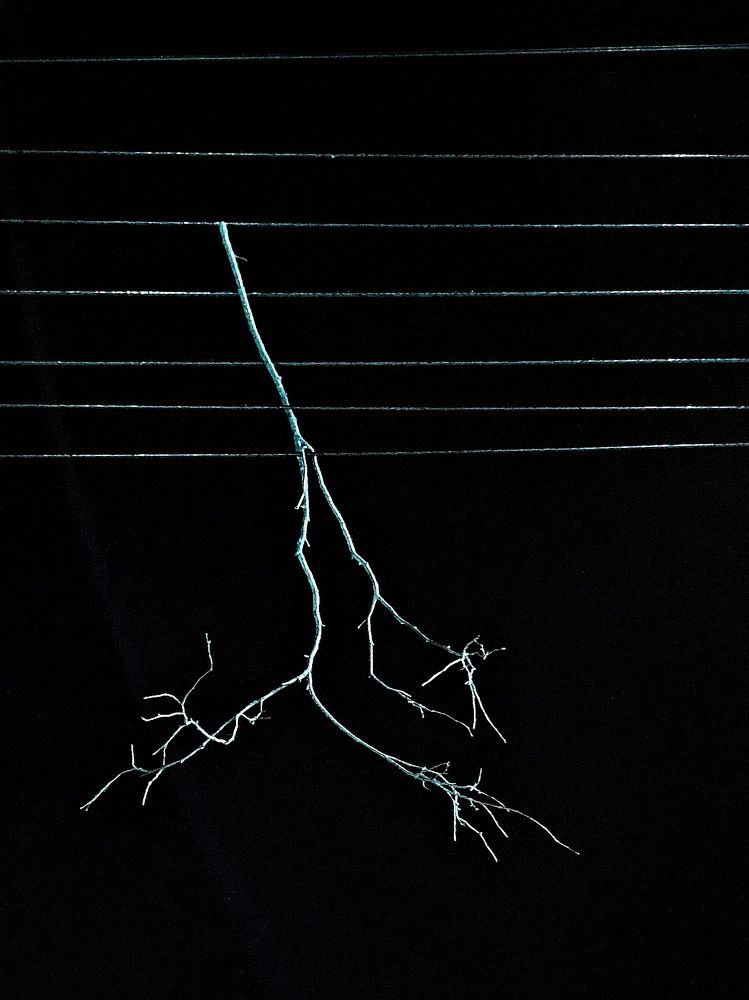 Фотография автора Евгения Никишина