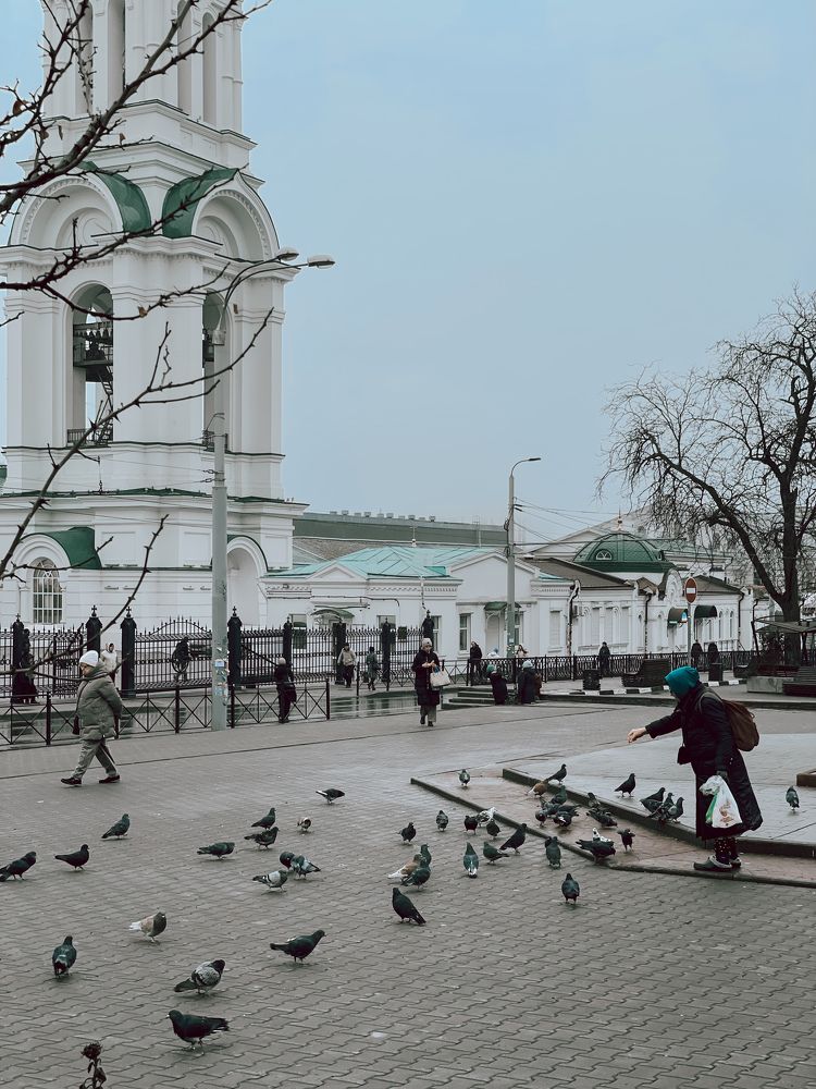 Photograph by Марина Фомичева