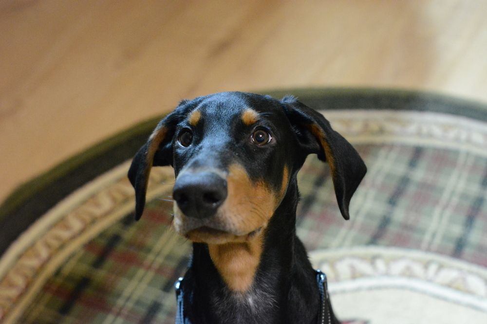 Photograph by Elena Savchuk