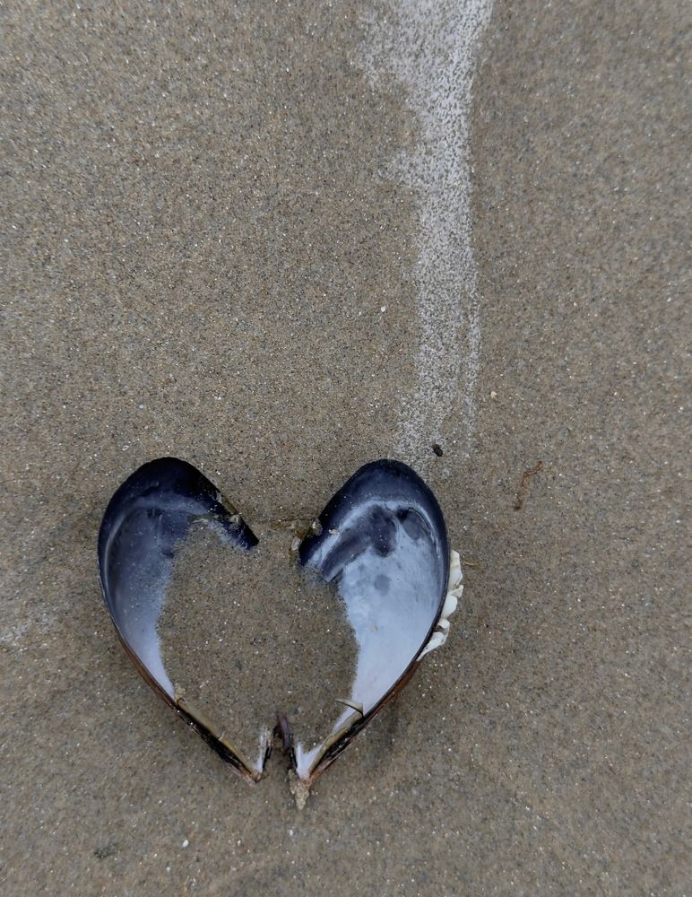 Photograph by Татьяна