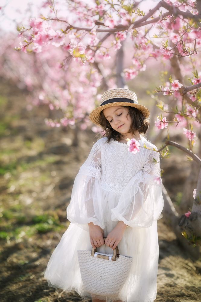 Фотография автора Maryam Parsa