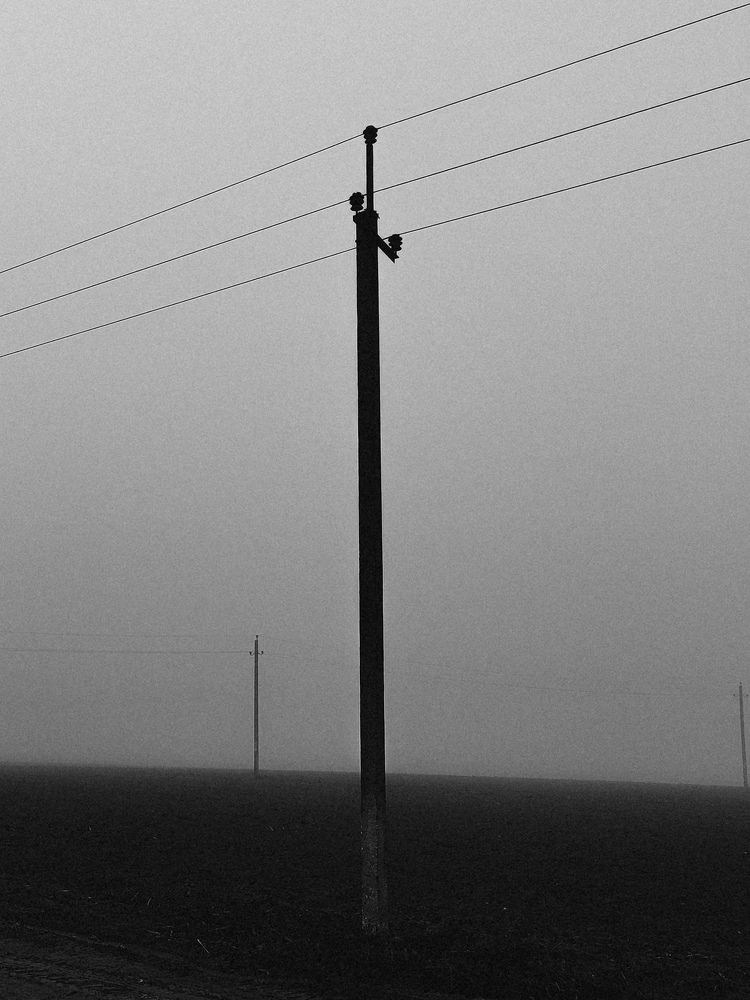 Фотография автора Алиса Исаева