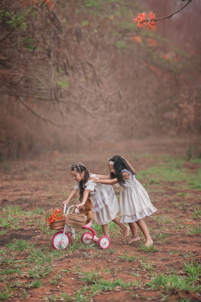 Photograph by ALMIR SILVA