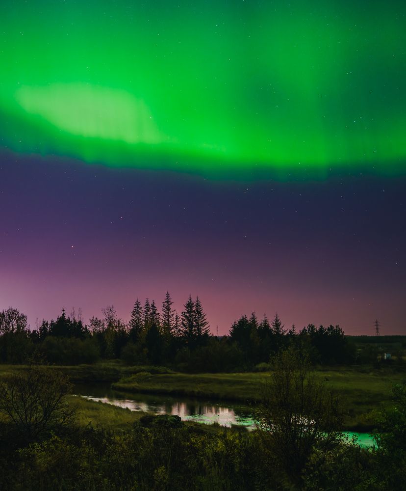 Photograph by Piotr Mickevic