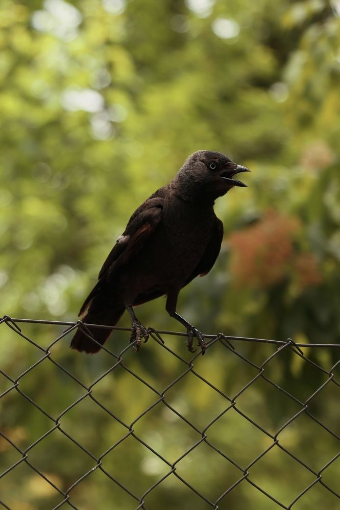 Photograph by Maxim Lip