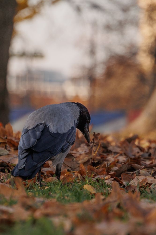 Photograph by Maxim Lip