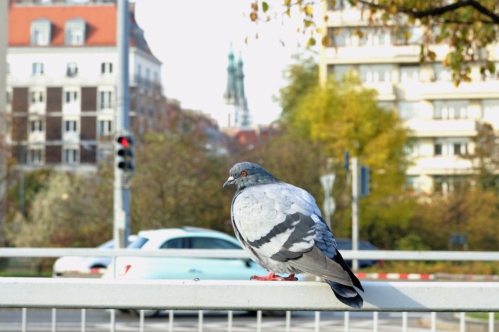 Photograph by jelena konickaja