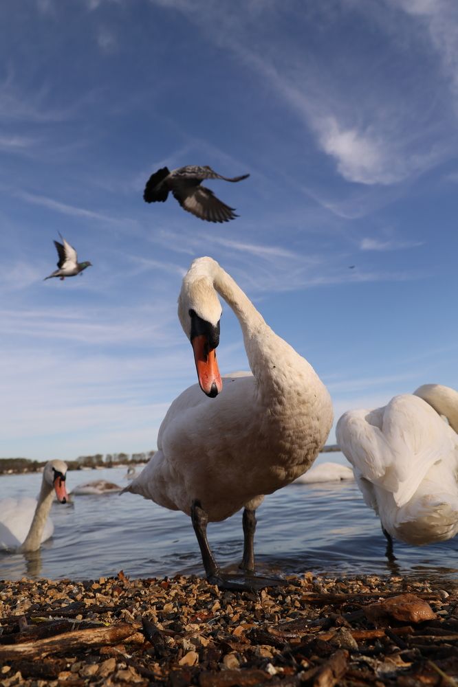 Photograph by Maxim Lip