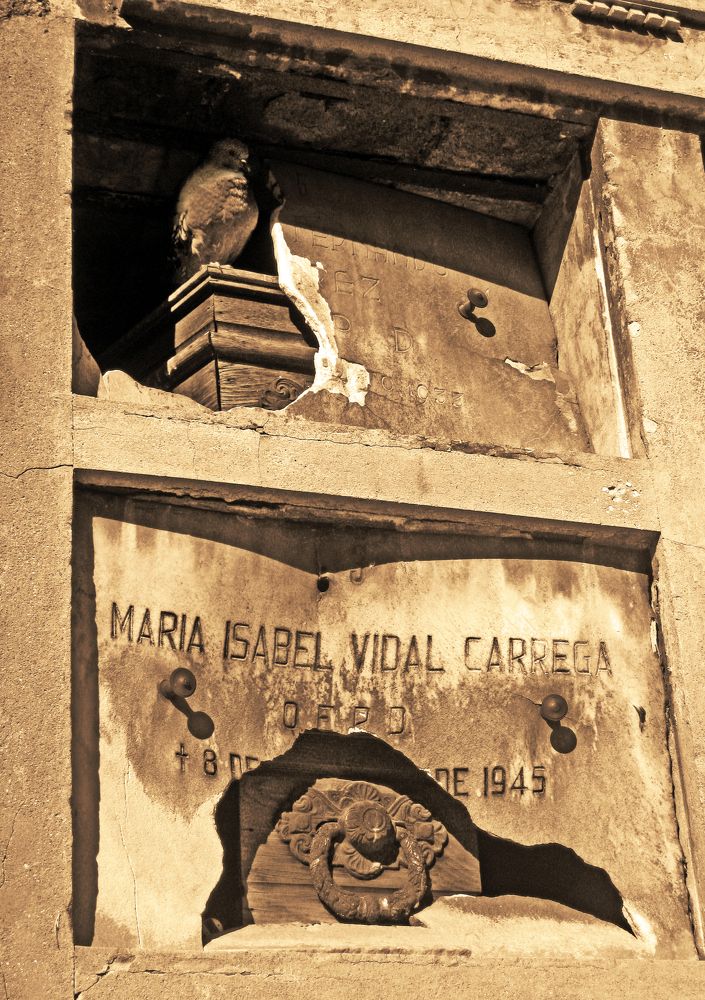 Photograph by Olga Sokolinskaya