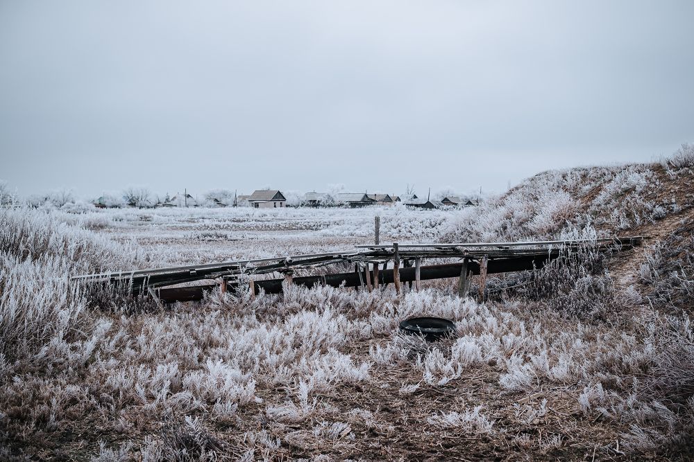 Фотография автора Карина Шарова