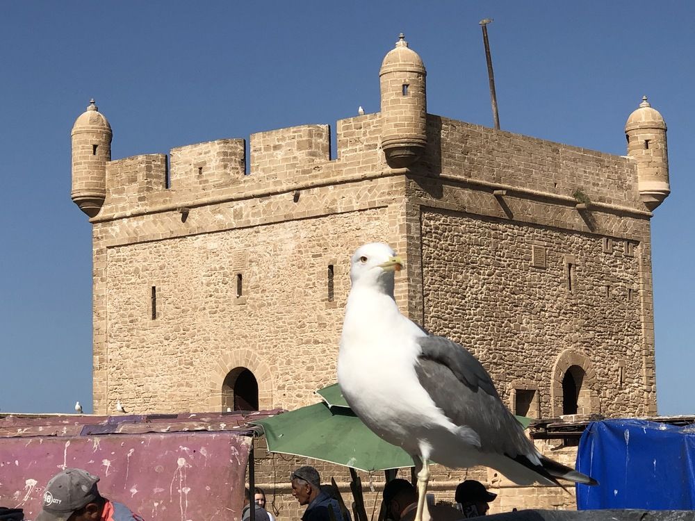 Photograph by Abdellatif Jellab