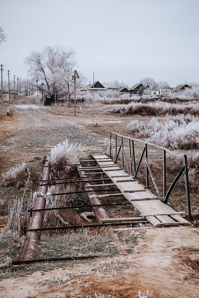 Фотография автора Карина Шарова