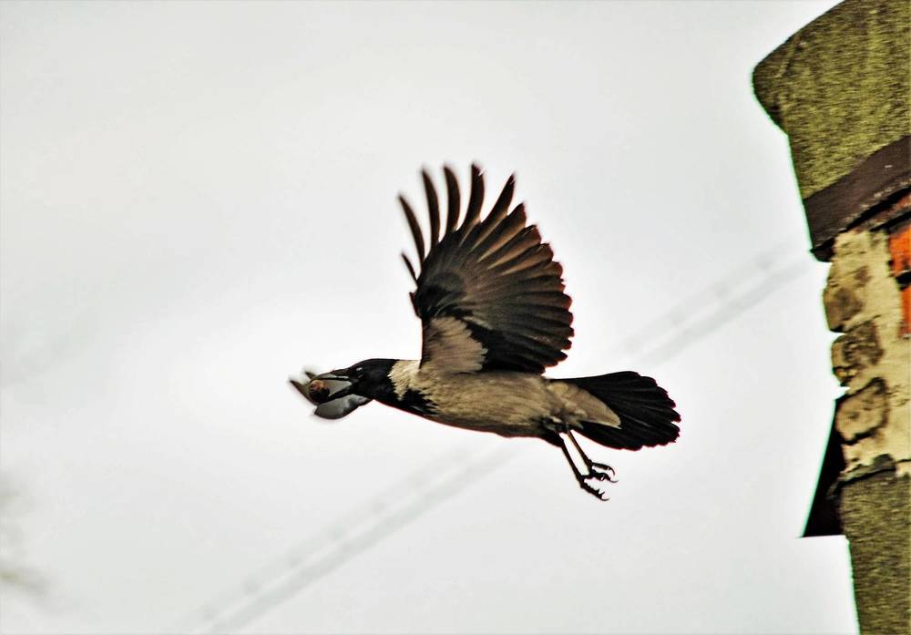 Photograph by Сиваков Алексей