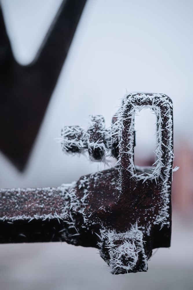 Фотография автора Карина Шарова