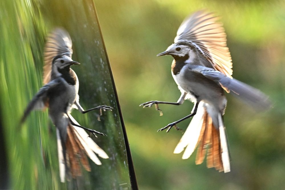 Hello, who else is here ?