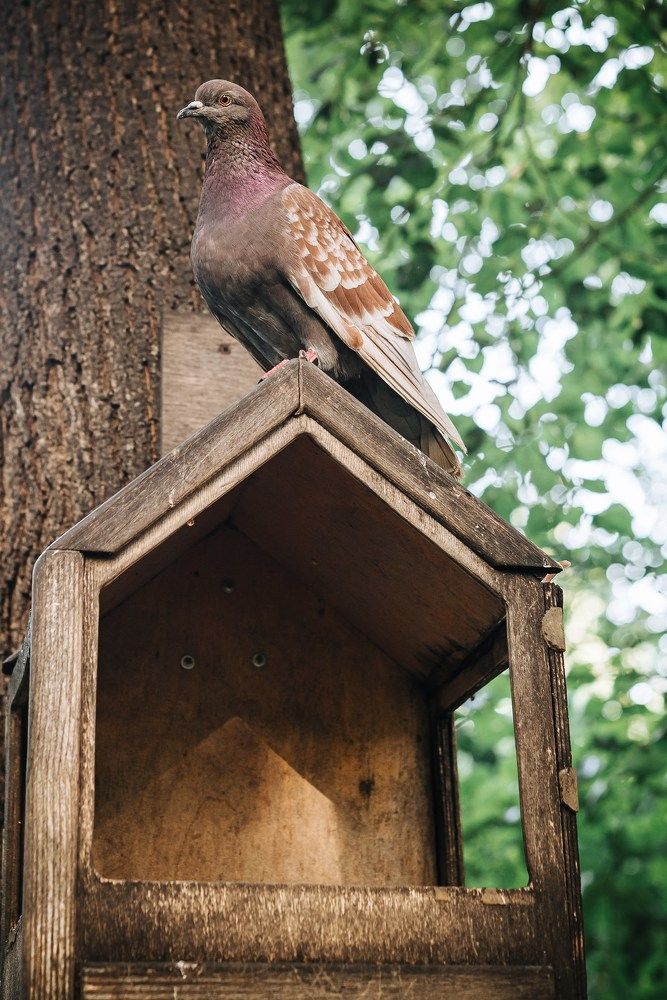 Фотография автора Карина Шарова