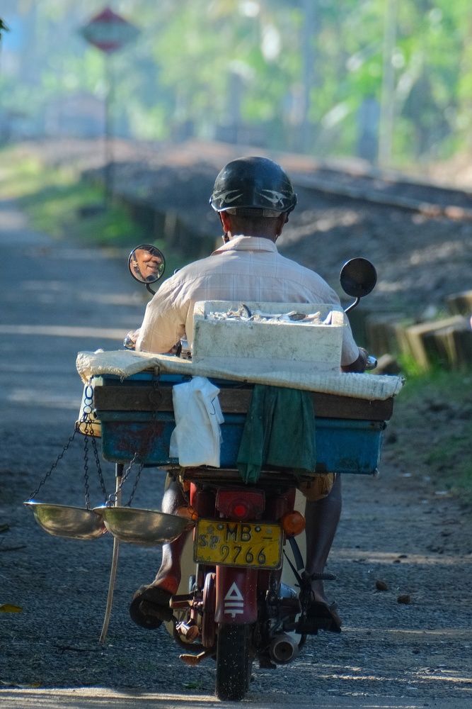 Photograph by Ilia Dmitriev