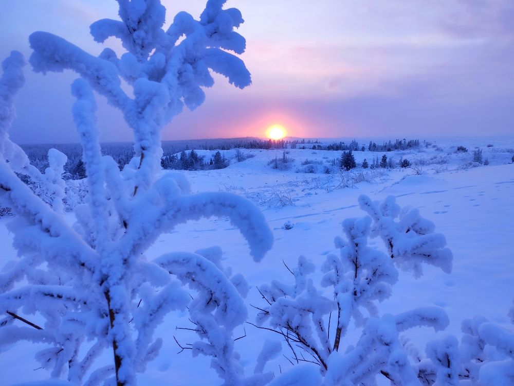 Photograph by Дарья