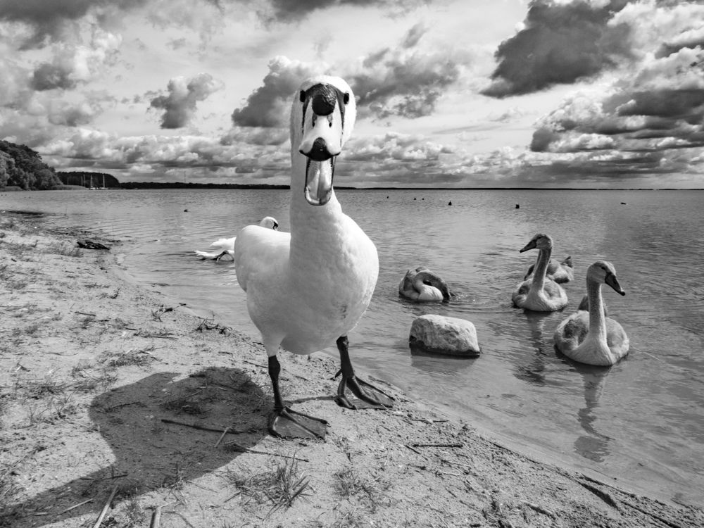 Photograph by Дмитрий Потапов