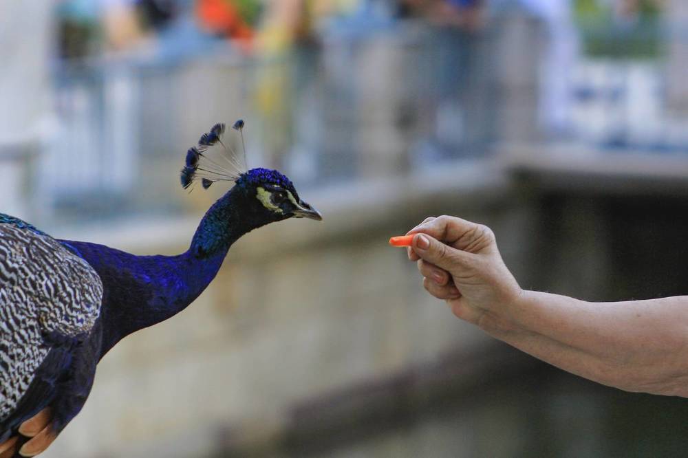 Photograph by Дмитрий Потапов