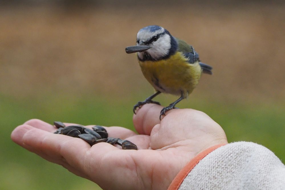 Photograph by Дмитрий Потапов