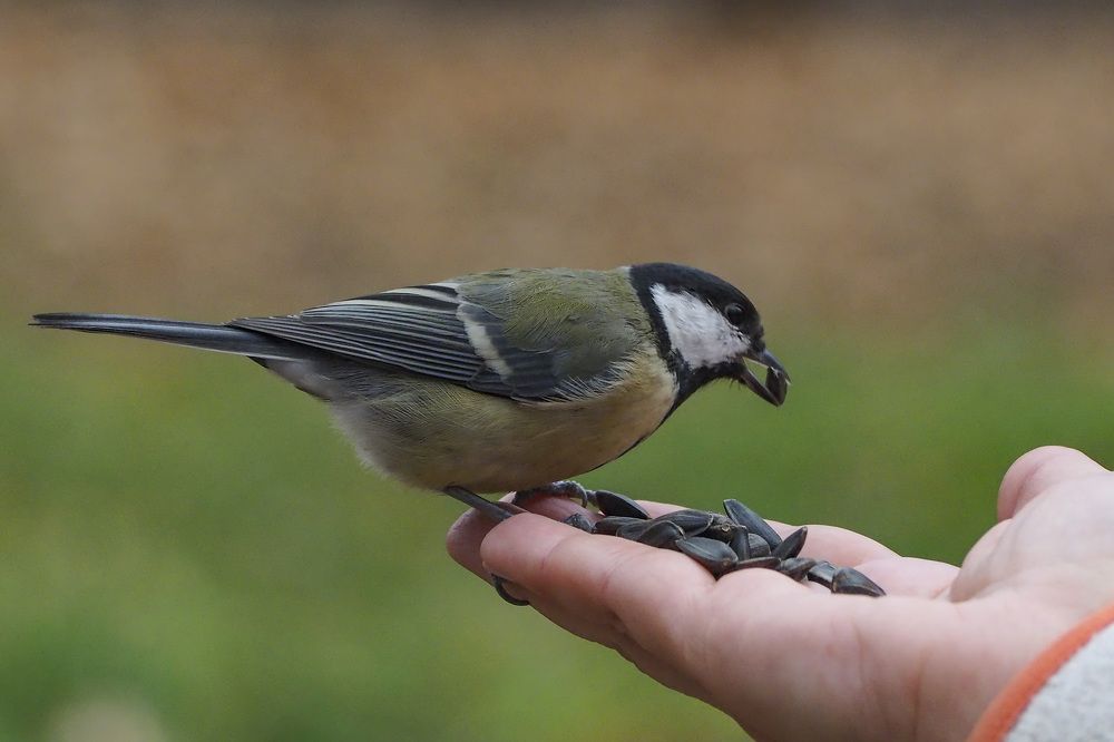 Photograph by Дмитрий Потапов