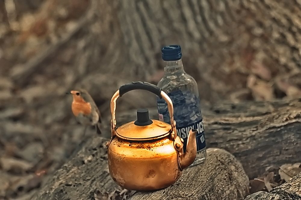 Photograph by Roman Popov