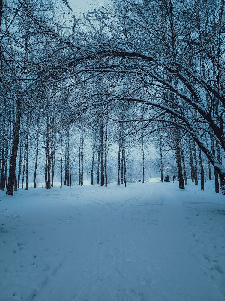 Photograph by Элен Пройс