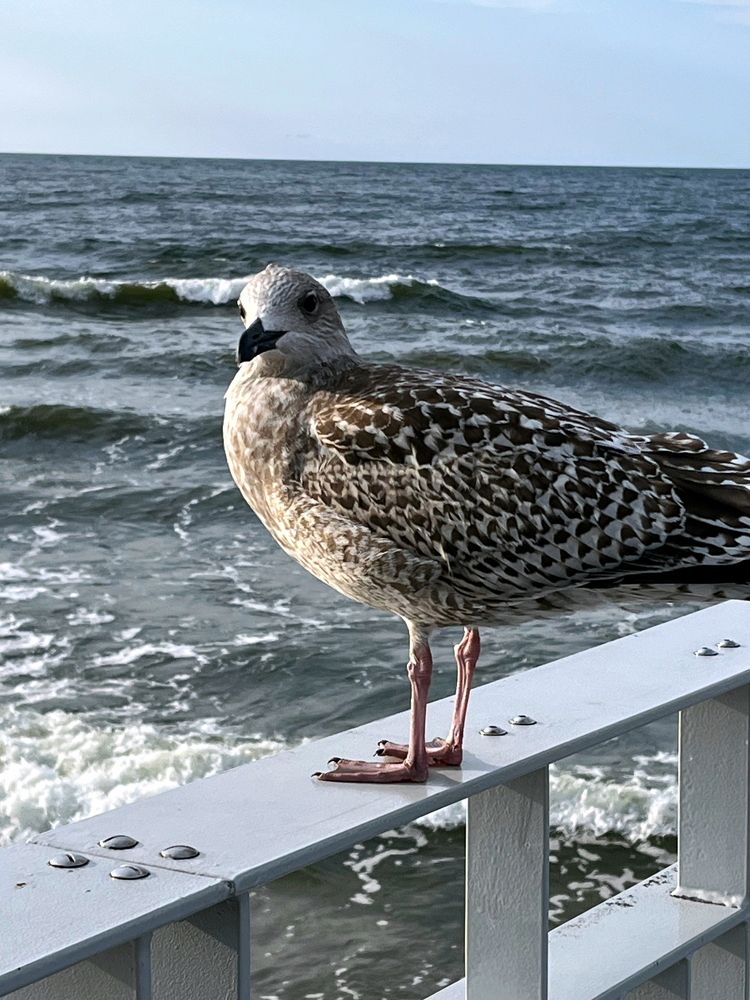 Photograph by Dawid Kalinowski