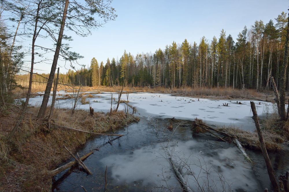 Photograph by Андрей Пляскин