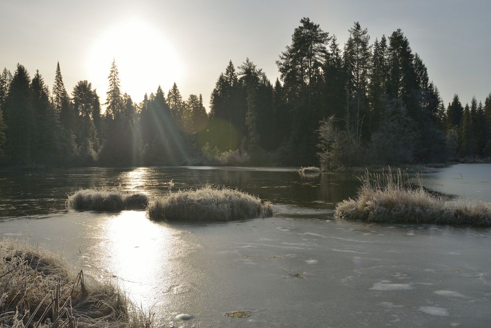 Photograph by Андрей Пляскин