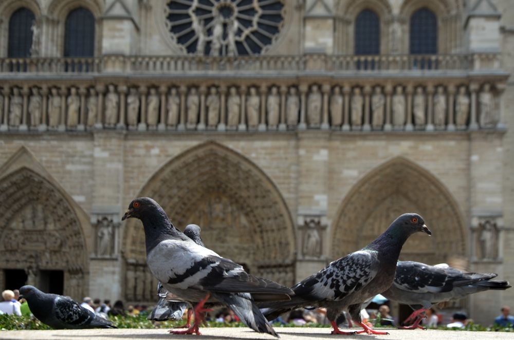 Photograph by Виктор Ремишевский