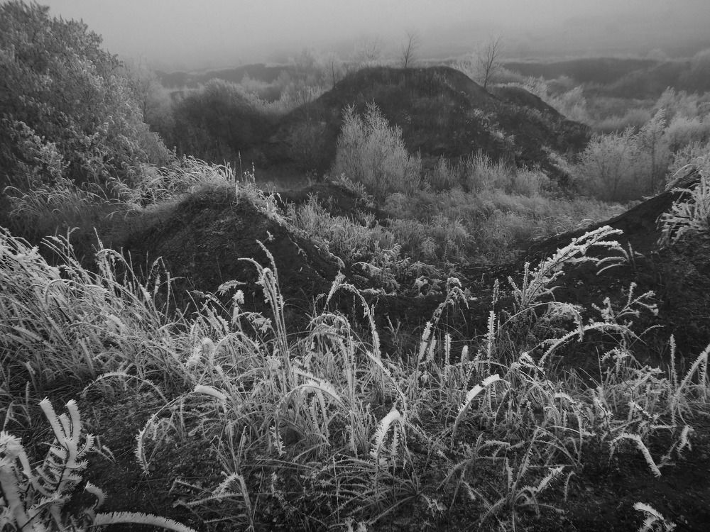 Photo #11773220